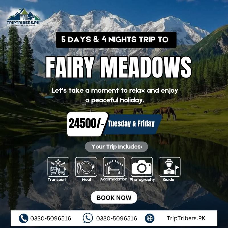 Fairy Meadows Trip Package