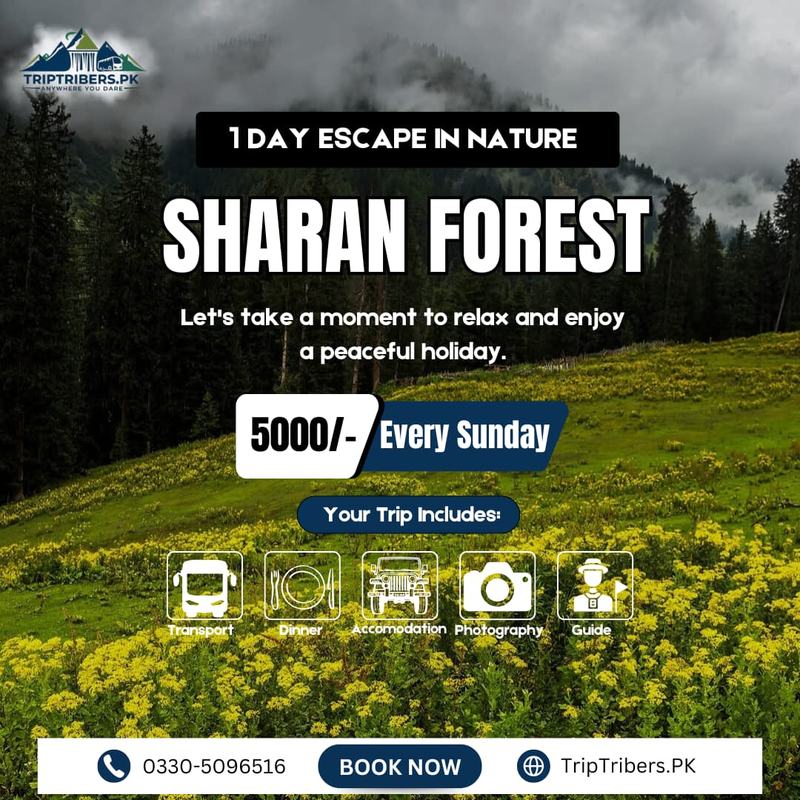 Sharan Forest Trip Package
