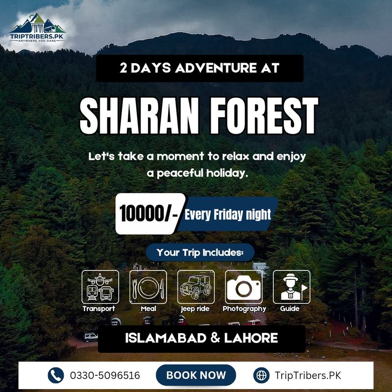 Sharan Forest Trip Package